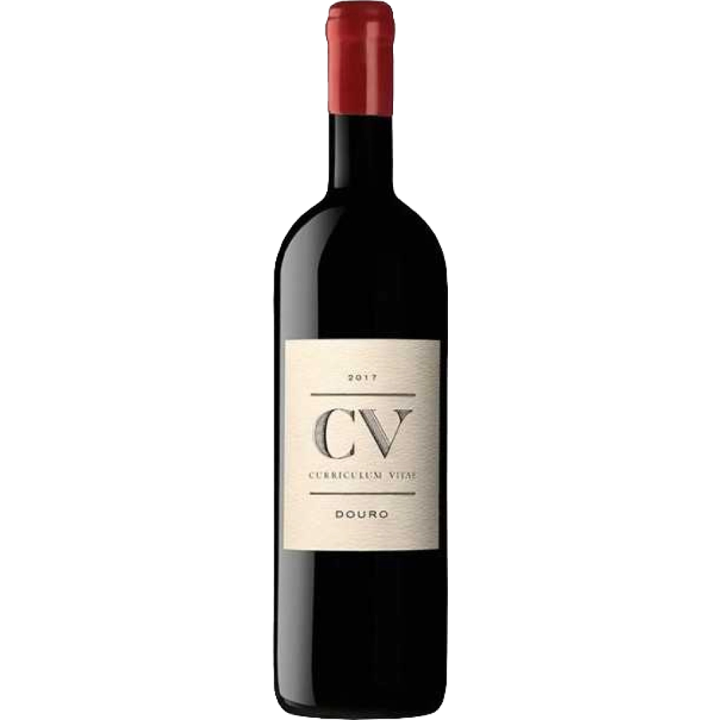 CV 2017