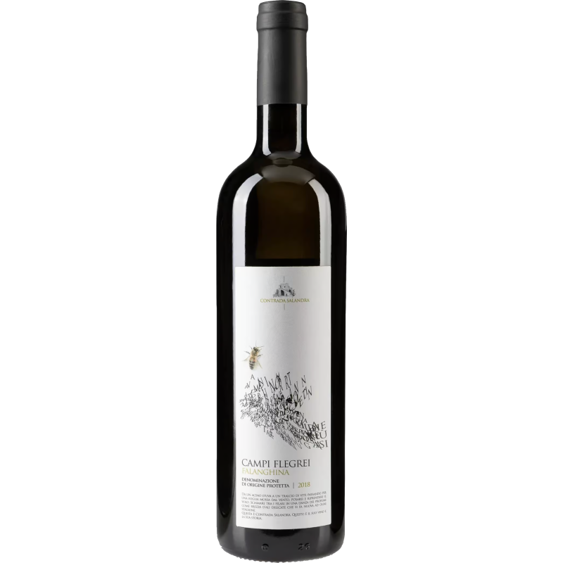 Contrada Salandra Falanghina - Image 1