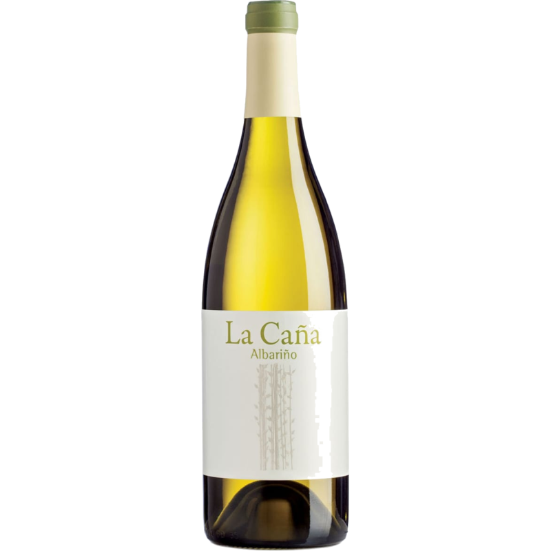 La Cana Albarino 2024 - Image 1