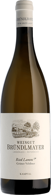 Brundlmeyer Ried Langenloiser Kaferberg 1otw Kamptal DAC Gruner 2019 - Image 1