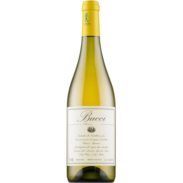 Bucci Verdicchio Classico 2022