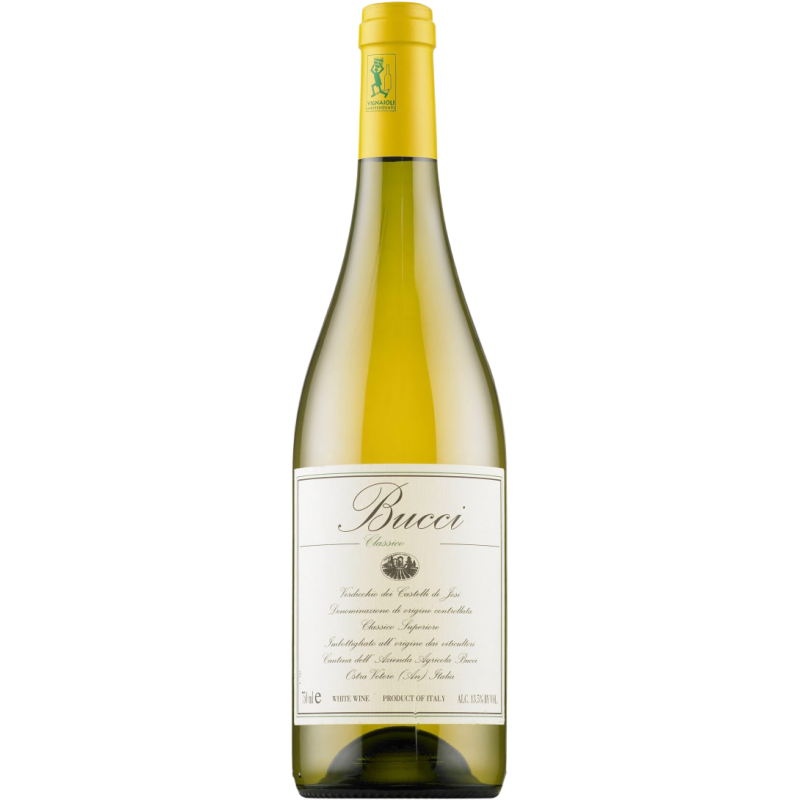 Bucci Verdicchio Classico 2022 - Image 1