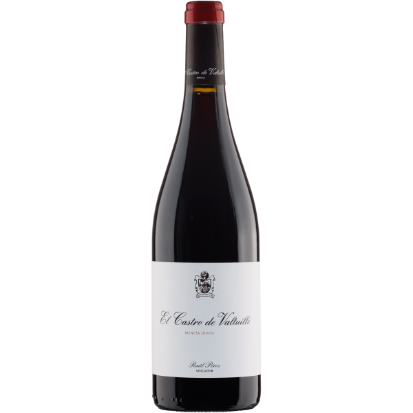 Castro Ventosa Mencia 2023