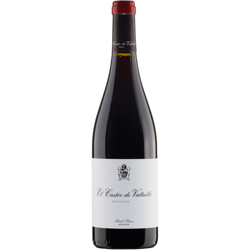 Castro Ventosa Mencia 2023 - Image 1