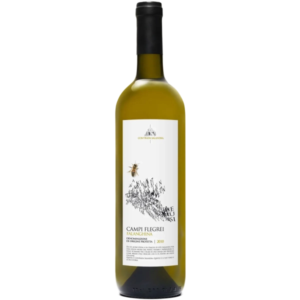 Salandra Falanghina
