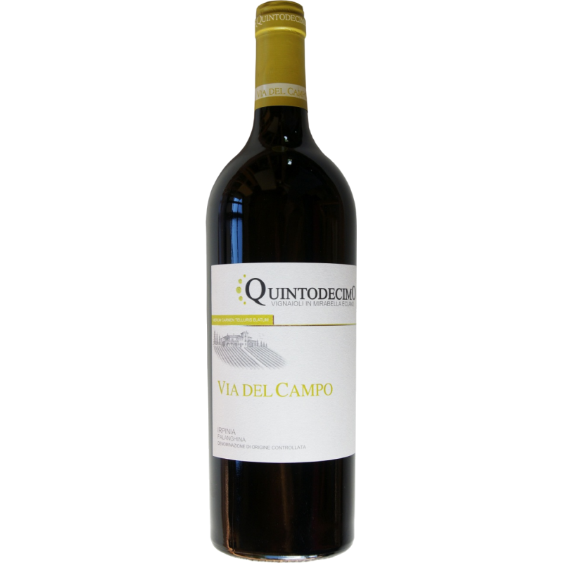 Quintodecimo Via Del Campo Falanghina 2023 - Image 1