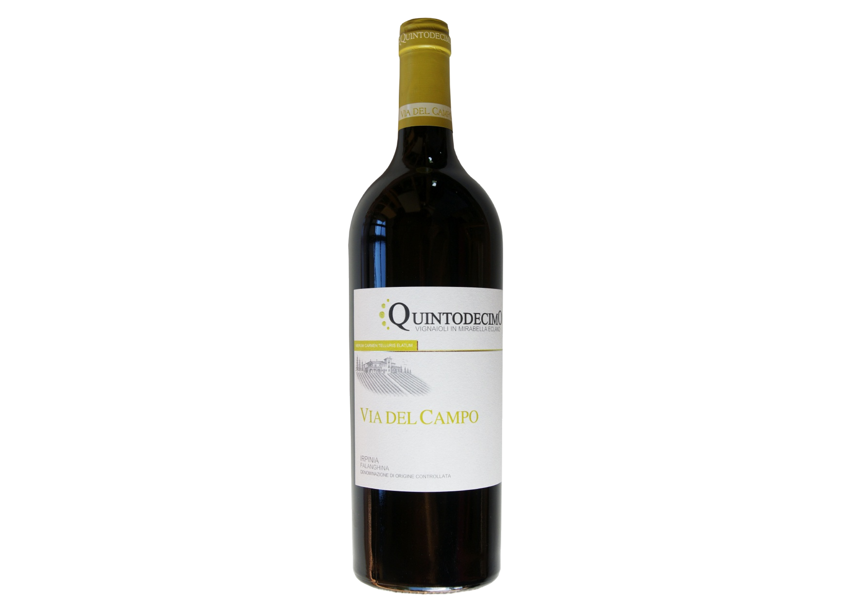 Quintodecimo Via Del Campo Falanghina 2023 - Image 1