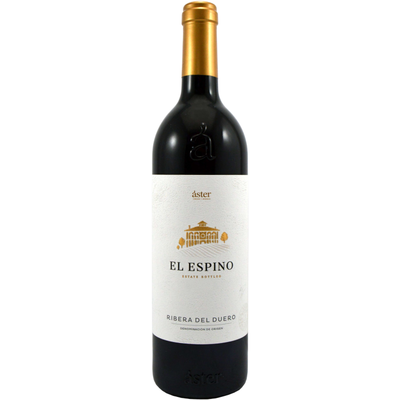 Aster El Espino 2020 - Image 1