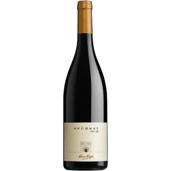 Nino Negri Sfursat Cinques Stelle 2018