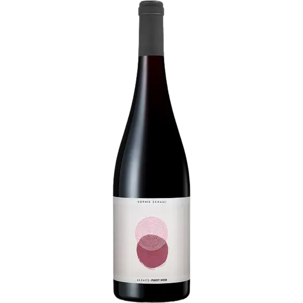 Sophie Schaal Pinot Noir 2024