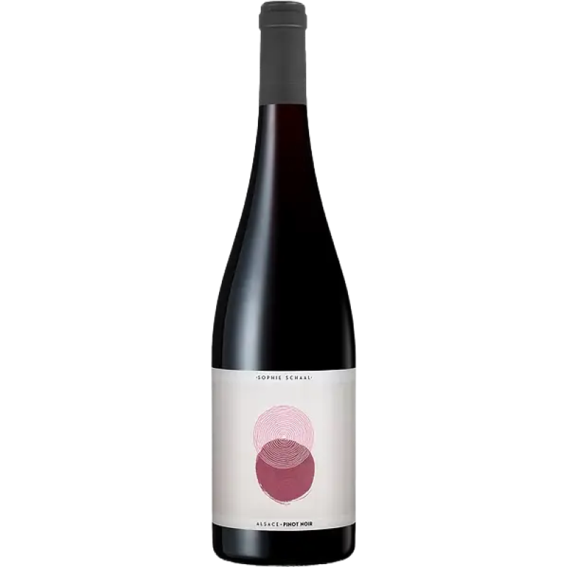 Sophie Schaal Pinot Noir 2024 - Image 1