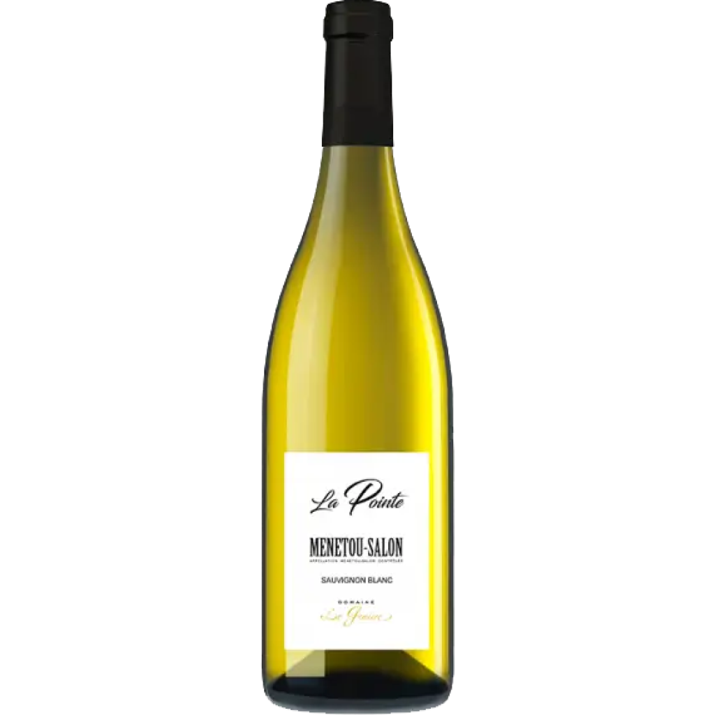 Domaine La Gemiere La Pointe Menetou-Salon 2020