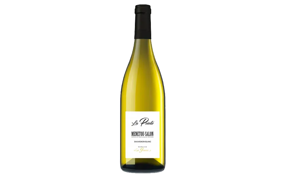 Domaine La Gemiere La Pointe Menetou-Salon 2020 - Image 1