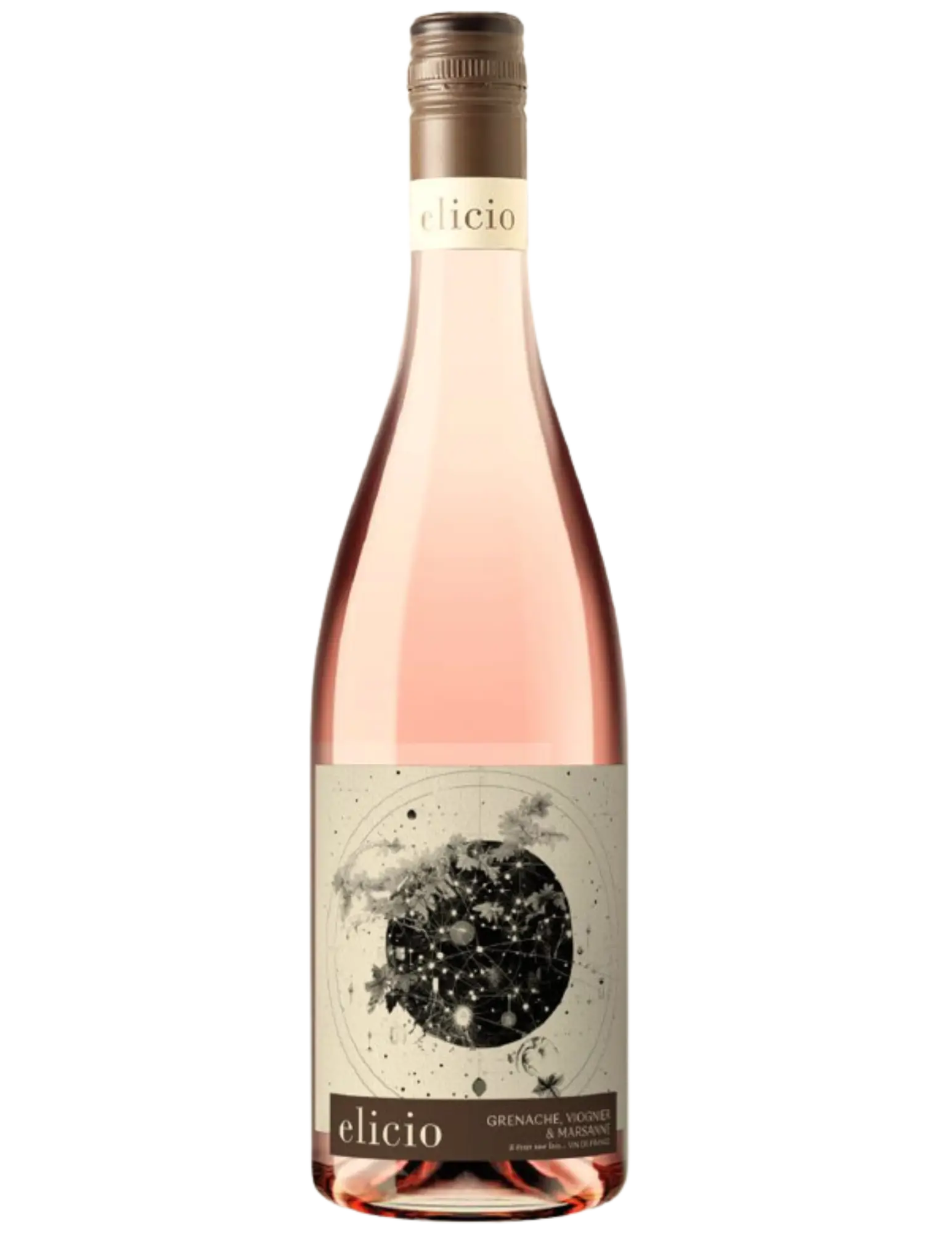 Elicio Rose 2023 - Image 1