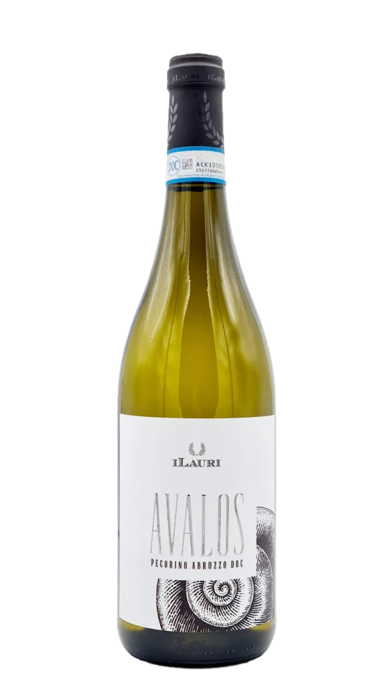 ILauri Avalos 2024 - Image 1