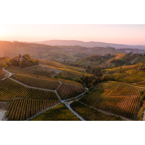 A Night in Piedmont - Winemaker Dinner @Angelo Restaurant