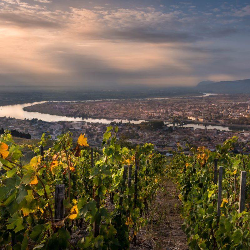 Domaine Jean-Louis Chave: The Standard of Hermitage